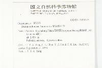 能高佛甲草藏品圖，第2張