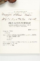 俄氏柿藏品圖，第4張