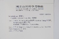 隱鱗藤藏品圖，第2張