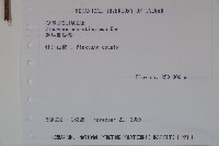 珊瑚樹藏品圖，第2張