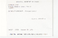 白花牽牛藏品圖，第2張