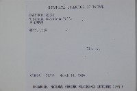 呂宋莢迷藏品圖，第2張