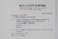 山橙藏品圖，第2張