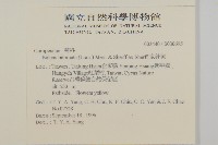 鬼針舅藏品圖，第2張