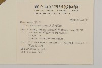 大葉南蛇藤藏品圖，第2張