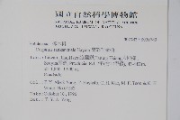 蘭邯千金榆藏品圖，第2張