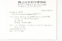 星果佛甲草藏品圖，第2張