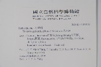八角蓮藏品圖，第2張