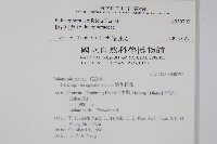 穗花蛇菰藏品圖，第2張