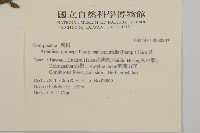 登錄號:S030802藏品圖，第2張