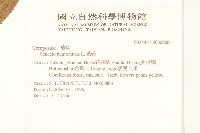 黃菀藏品圖，第2張