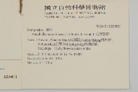 玉山抱莖籟簫藏品圖，第2張