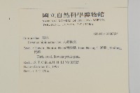 大波斯菊藏品圖，第2張