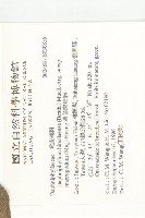 薄葉虎皮楠藏品圖，第2張