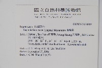 水鴨腳藏品圖，第2張