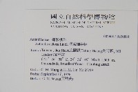 硬齒獼猴桃藏品圖，第2張