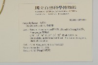 狗筋蔓藏品圖，第2張