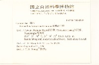 臺灣福王草藏品圖，第2張