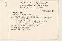 矮菊藏品圖，第2張