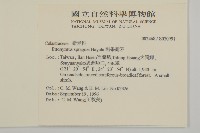 刺果衛矛藏品圖，第2張