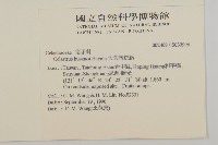 大葉南蛇藤藏品圖，第2張