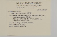 厚葉衛矛, 源一木藏品圖，第2張