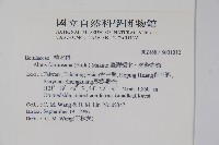 臺灣赤楊、臺灣榿木藏品圖，第2張