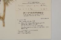 細川氏薊藏品圖，第2張