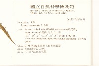 黃菀藏品圖，第2張