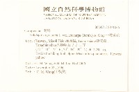 一枝黃花藏品圖，第2張