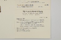 玉山抱莖籟簫藏品圖，第2張