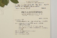 臺灣鬼督郵藏品圖，第2張