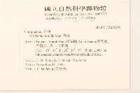 矮菊藏品圖，第2張