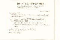 小蔓黃菀藏品圖，第2張