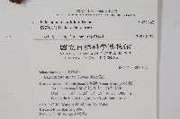 穗花蛇菰藏品圖，第2張