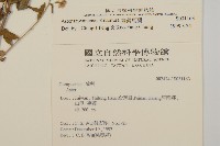 臺灣馬蘭藏品圖，第2張