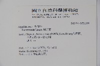 鐵冬青藏品圖，第2張