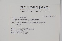 臺灣秋海棠藏品圖，第2張