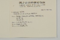 佩羅特木藏品圖，第2張