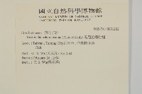 馬尼拉欖仁樹藏品圖，第2張