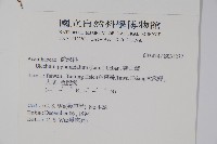 賽山藍藏品圖，第2張