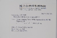 蘿芙木藏品圖，第2張