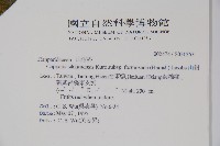 山柑、臺灣山柑藏品圖，第2張