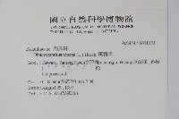 蘆利草藏品圖，第2張