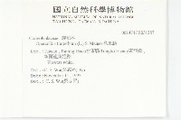 盒果藤藏品圖，第2張