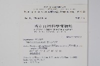 裂葉秋海棠藏品圖，第2張