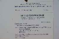 冇骨消藏品圖，第2張