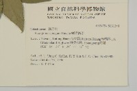 刺果衛矛藏品圖，第2張