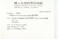 廣東葶藶藏品圖，第2張