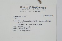 登錄號:S031358藏品圖，第2張